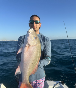 Big Snappers Bites In Florida